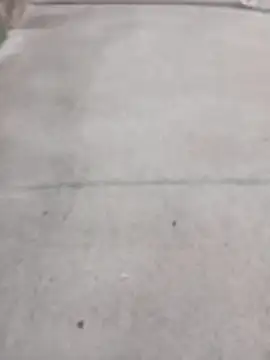 SnappedHagfish online show from 06-17-26, 05:23