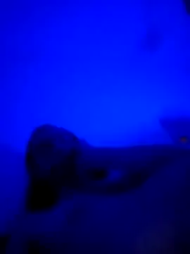 vladopen online show from 01-07-26, 05:23