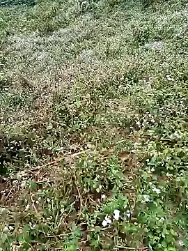 seacyre online show from 04-16-26, 12:44