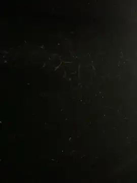 mengmeng776 online show from 02-10-26, 04:17