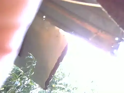 Snapshot of LadyPanda chatting on 02-03-26, 11:04 LadyPanda online show from 02-03-26, 11:04