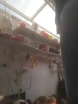 Almeyjose online show from 12-15-25, 05:52