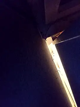 Snapshot of damslebambou1 chatting on 01-14-26, 01:09 damslebambou1 online show from 01-14-26, 01:09