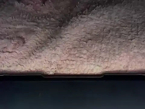 OherDav online show from 02-25-26, 07:41