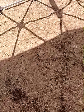 LaicyBrown76 online show from 03-07-26, 08:32