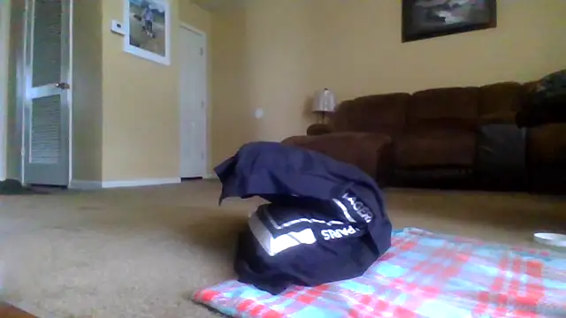 KingDes55 online show from 04-14-26, 05:51