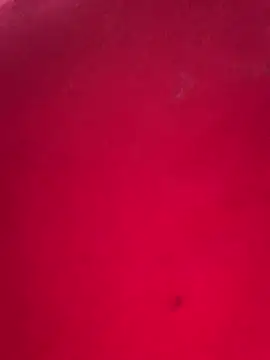 Snapshot of missmisha01 chatting on 02-17-26, 02:31 missmisha01 online show from 02-17-26, 02:31