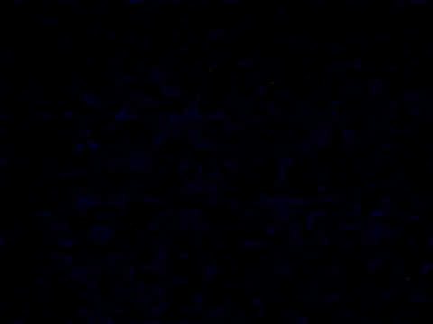 danylush online show from 12-20-25, 12:30