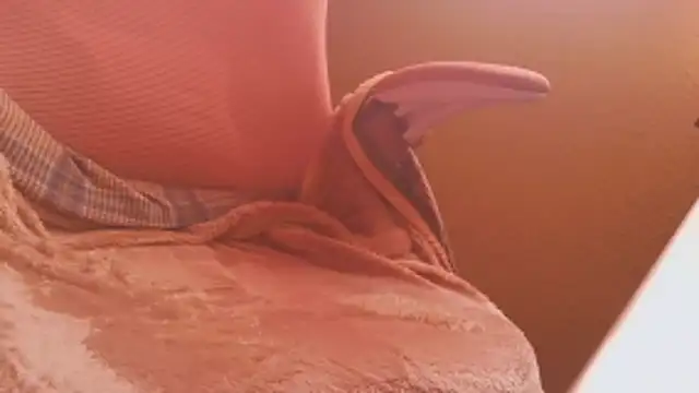 Michaelo666 online show from 02-11-26, 11:21