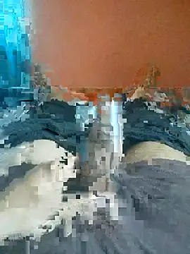jhonysinc21 online show from 05-01-26, 10:20
