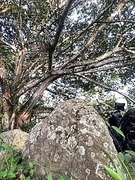 Maicol xxxx online show from 03-05-26, 10:27