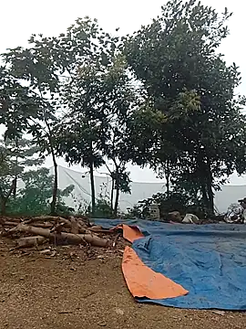 Menlike69 online show from 01-09-26, 02:07