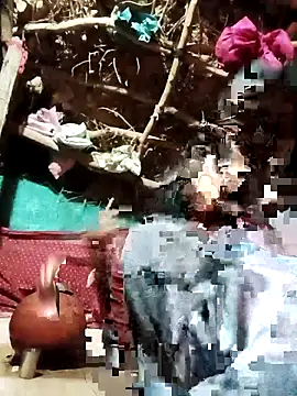 Snapshot of Cuty_priti chatting on 05-14-26, 04:48 Cuty priti online show from 05-14-26, 04:48