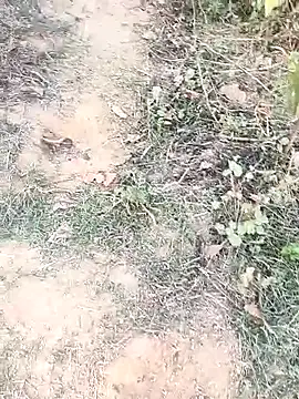 Sheela Sex90 online show from 04-15-26, 11:59