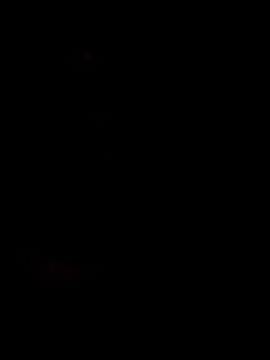 Snapshot of honorhorny chatting on 02-05-26, 11:00 honorhorny online show from 02-05-26, 11:00