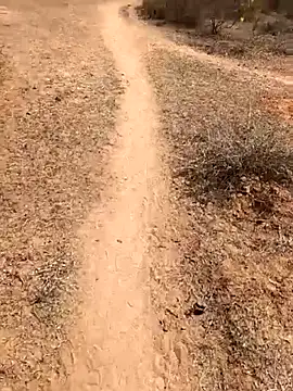 Snapshot of Tamilpaiyan07 chatting on 02-08-26, 05:49 Tamilpaiyan07 online show from 02-08-26, 05:49