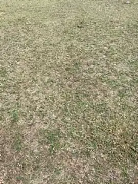 Snapshot of Tamilpaiyan07 chatting on 02-01-26, 03:49 Tamilpaiyan07 online show from 02-01-26, 03:49