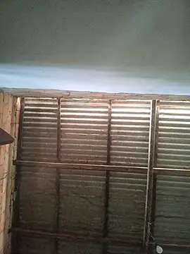 gingavi online show from 01-06-26, 07:18