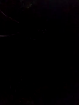 Snapshot of gingavi chatting on 05-17-26, 01:16 gingavi online show from 05-17-26, 01:16