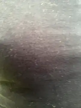 Snapshot of bety13 chatting on 06-15-26, 04:06 bety13 online show from 06-15-26, 04:06