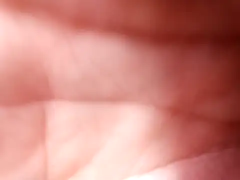 mellzinhacasada online show from 02-16-26, 05:00