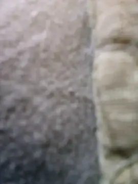 FragrantToe529 online show from 02-16-26, 05:44