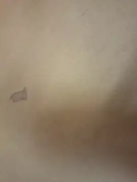 Snapshot of yourburget chatting on 02-19-26, 02:25 yourburget online show from 02-19-26, 02:25