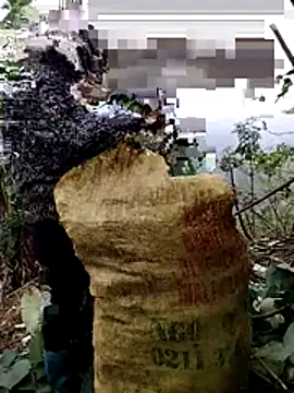 Snapshot of galaxy898 chatting on 01-06-26, 07:34 galaxy898 online show from 01-06-26, 07:34