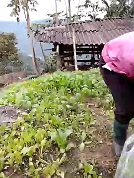 galaxy898 online show from 02-02-26, 09:41