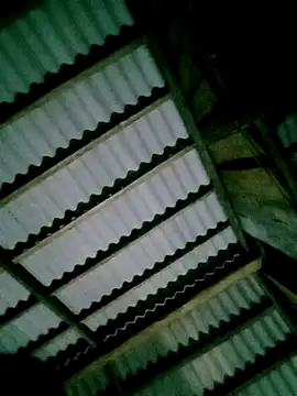 DIANAKUTE online show from 04-07-26, 10:33