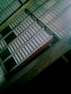 DIANAKUTE online show from 02-12-26, 01:33