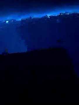 stranger human online show from 01-11-26, 05:25