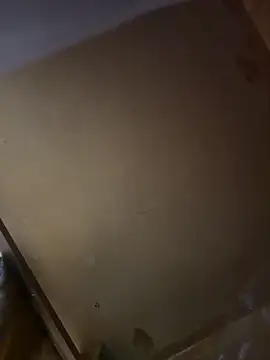 Snapshot of lele202526 chatting on 04-08-26, 06:31 lele202526 online show from 04-08-26, 06:31