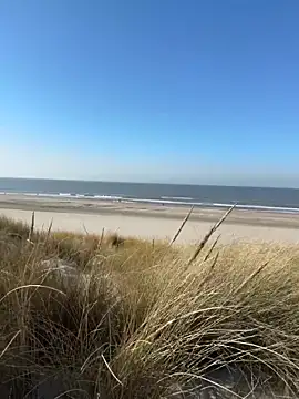 friemeldepiemel online show from 03-05-26, 01:19