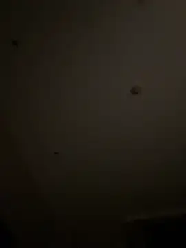 Qidandan778 online show from 03-09-26, 12:09