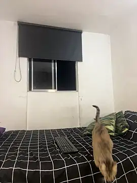 itselladoll online show from 02-22-26, 07:55