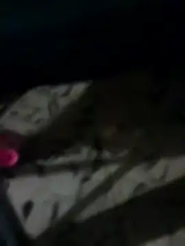 Antras92 online show from 01-12-26, 01:45