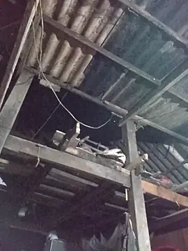 dakota-kis online show from 03-30-26, 11:44