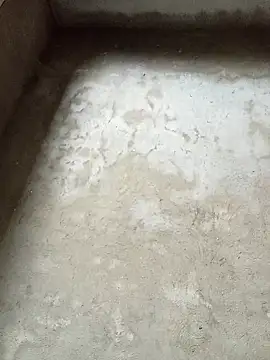 dakota-kis online show from 02-04-26, 11:55