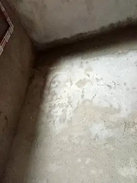 dakota-kis online show from 02-14-26, 11:49