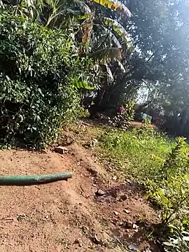 janbi sexe online show from 01-14-26, 05:44