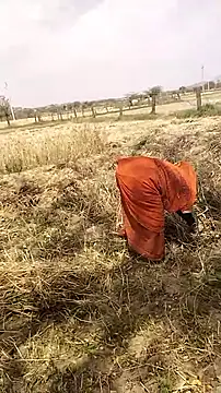 hornycouple20000 online show from 03-19-26, 06:57