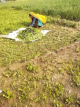 hornycouple20000 online show from 01-10-26, 05:03