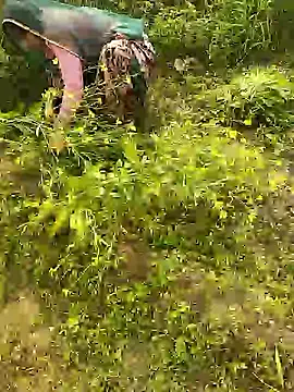 hornycouple20000 online show from 01-08-26, 05:46