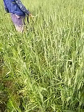 hornycouple20000 online show from 02-01-26, 06:44