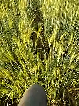 hornycouple20000 online show from 02-21-26, 11:56