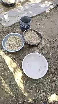 hornycouple20000 online show from 04-09-26, 03:41