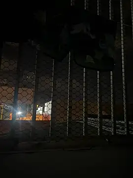 LontraAndBear online show from 02-14-26, 07:52