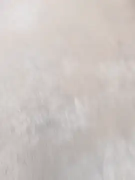 daksh  8 inche online show from 04-07-26, 01:51