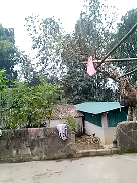 Snapshot of muamua99 chatting on 01-17-26, 12:15 muamua99 online show from 01-17-26, 12:15